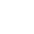 icon1-1b